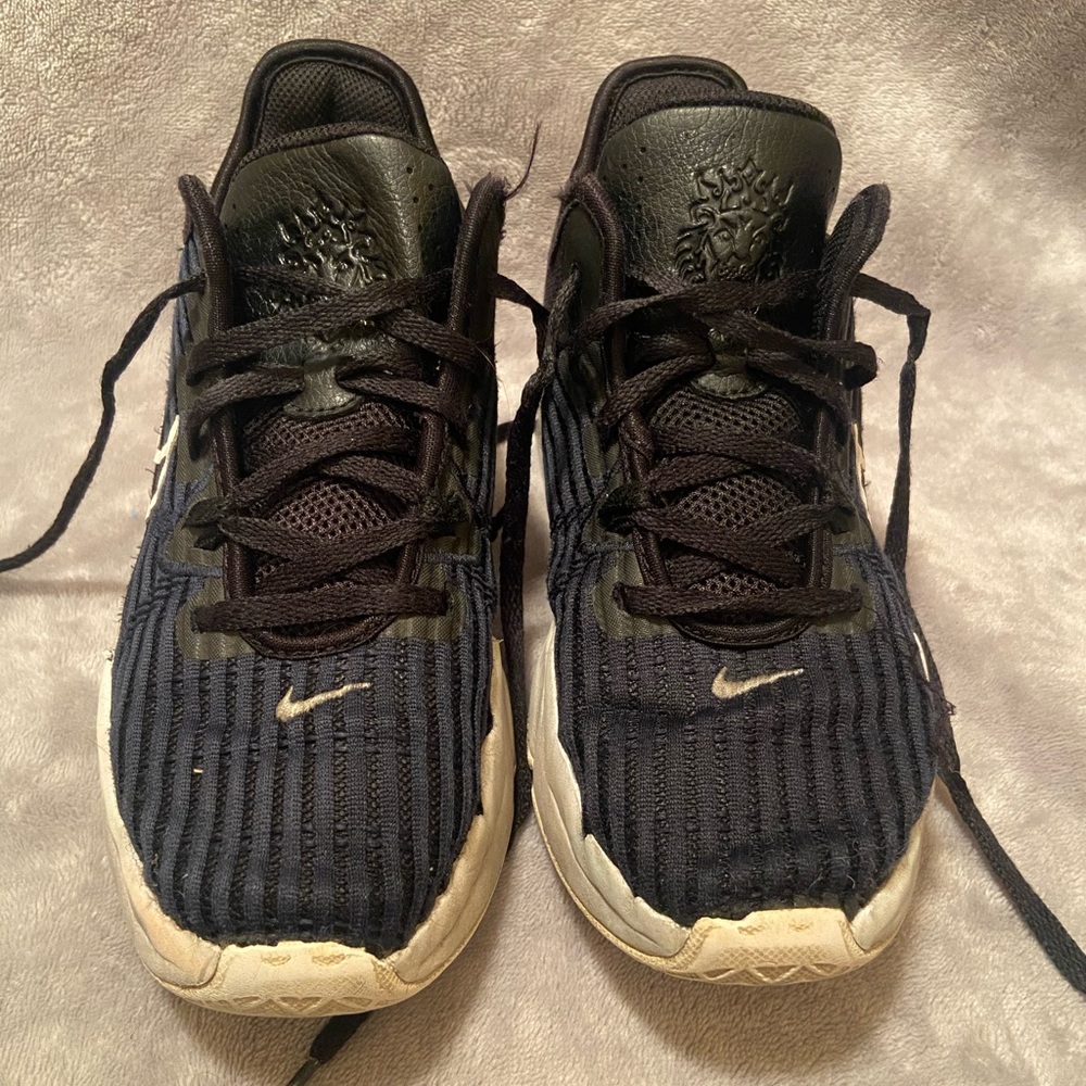 Boy LeBron Witness